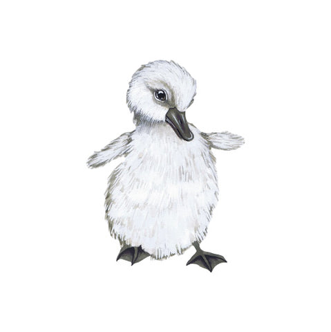 Vegglímmiðar - Beautiful duckling