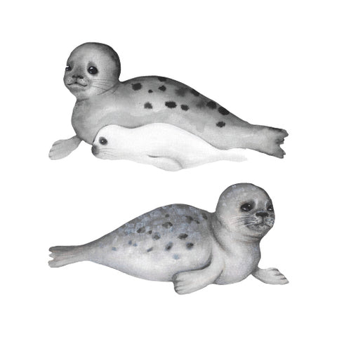 Vegglímmiðar - Seal family